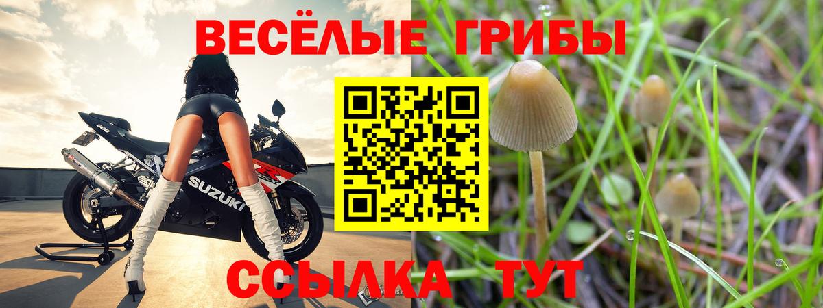 Галлюциногенные грибы ЛСД  Вход с VPN  наркошоп  Ноябрьск 